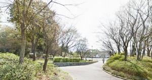 フローラ桂台近隣＿桂山公園画像