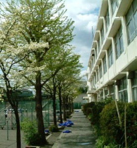鶴ヶ峰中学校