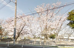 フローラ桂台近隣＿花篭公園画像