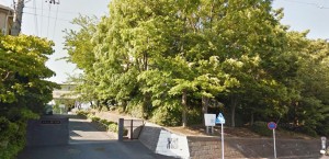新桜ヶ丘団地学区の橘中学校の画像