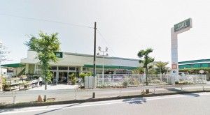 Fuji鵠沼店