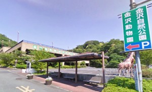 パイロットハウス磯子台＿金沢自然公園