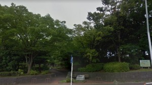 公園