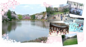 三つ池公園